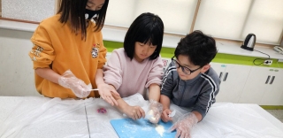 11.25 대명초등학교 1~5 직업체험 관련사진